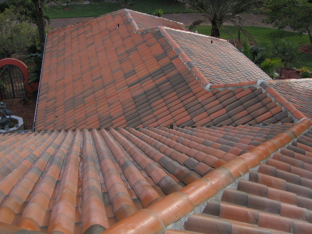 Roof Cleaning